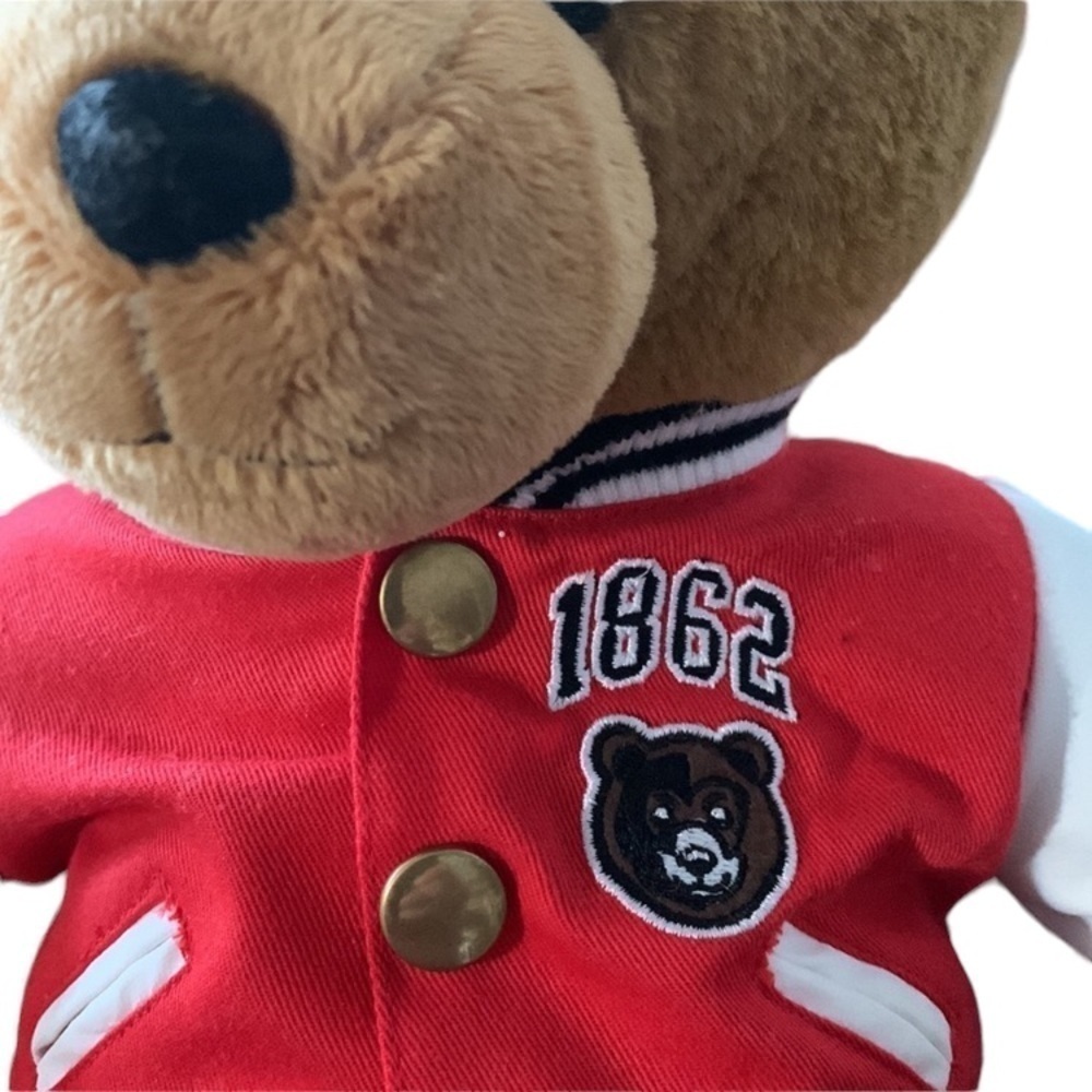 Fao Schwartz Teddy Bear - Picture 3 of 4